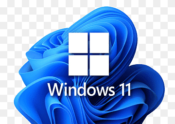 Windows 11 Pro Installation